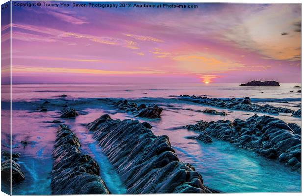 Purple Sunset Canvas Print by Tracey Yeo