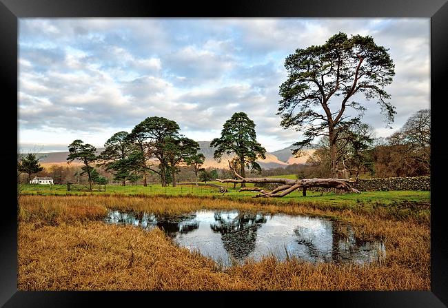 Country Reflections Framed Print by Gary Kenyon