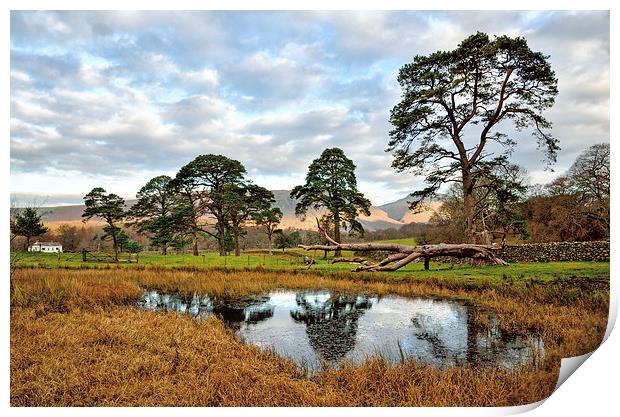 Country Reflections Print by Gary Kenyon