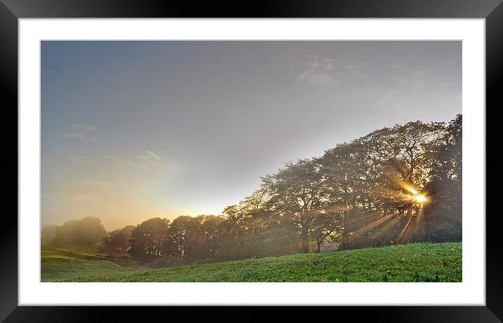 Sunrise Trees Framed Mounted Print by Eric Watson