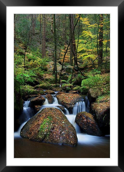 Wyming Brook Nature Reserve Framed Mounted Print by Darren Galpin