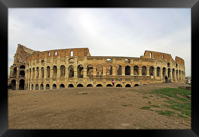 Roman Colosseum Framed Print by Tony Murtagh