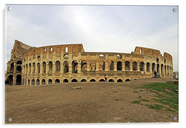 Roman Colosseum Acrylic by Tony Murtagh