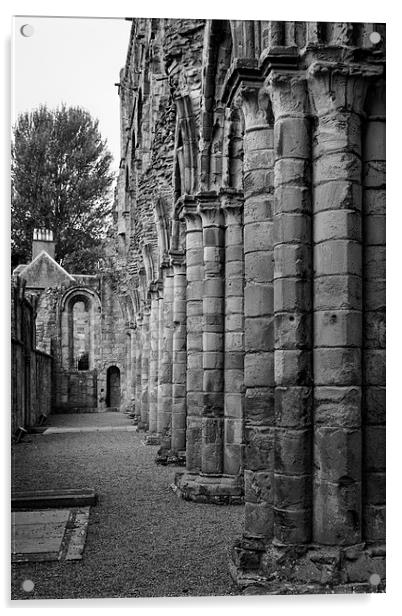 Jedburgh Abbey Collumns Acrylic by Nige Morton