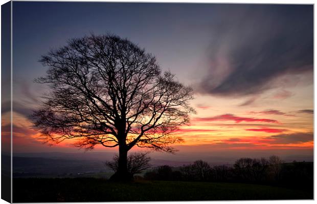 Hill Top Tree and Sunset Canvas Print by Pete Hemington