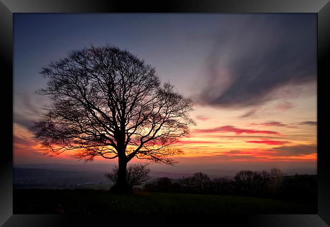 Hill Top Tree and Sunset Framed Print by Pete Hemington