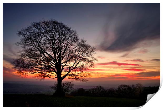 Hill Top Tree and Sunset Print by Pete Hemington