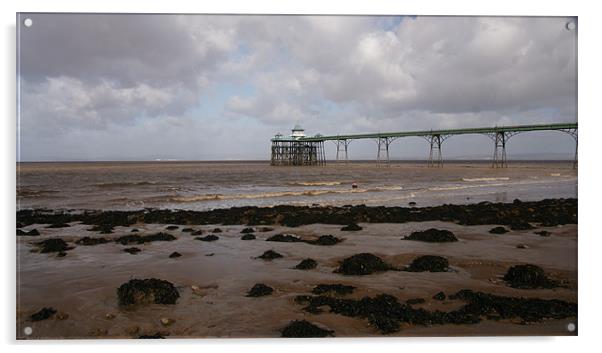 Clevedon Pier Acrylic by Alan Jacobs