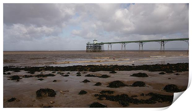 Clevedon Pier Print by Alan Jacobs