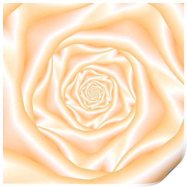 Pale Peach Spiral Rose Print by Colin Forrest