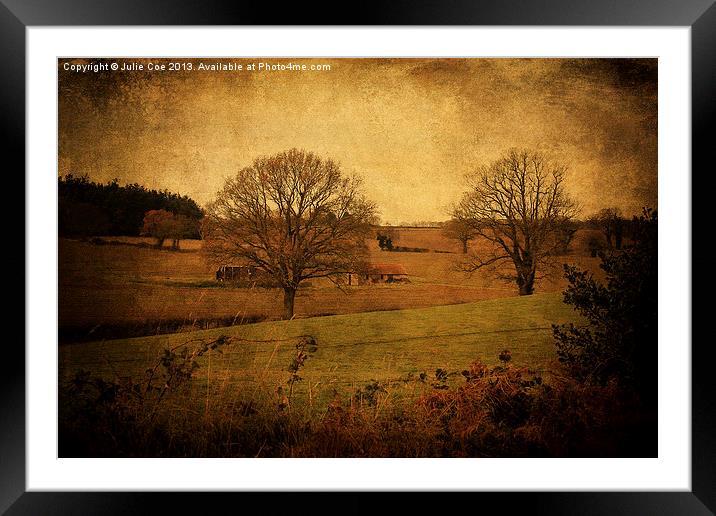 Trees, Fields and Barns Framed Mounted Print by Julie Coe