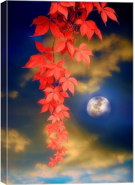 Enchanted Evening Canvas Print by Christine Lake