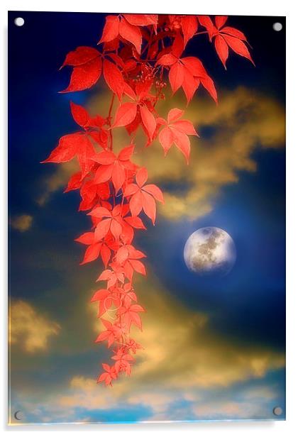 Enchanted Evening Acrylic by Christine Lake