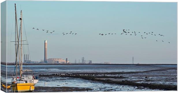 Geese Flying by power station Canvas Print by Claire Colston
