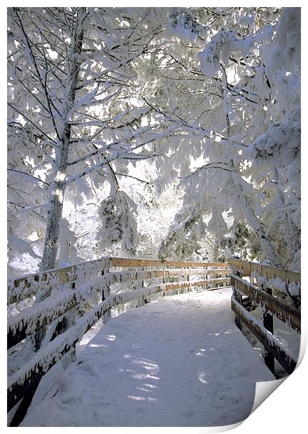 Frosty Boardwalk Print by Gary Beeler