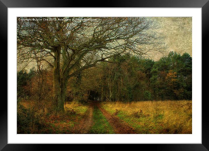 Enter The Woods Framed Mounted Print by Julie Coe