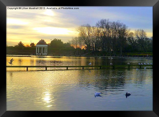 Sunset over the Bandstand. Framed Print by Lilian Marshall