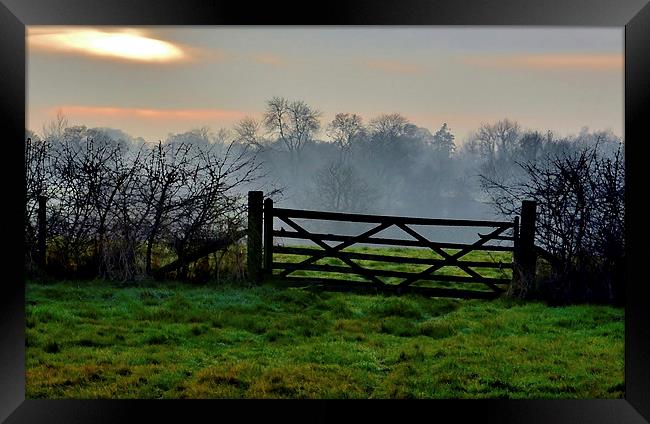 GATEWAY TO THE WOOD Framed Print by David Atkinson