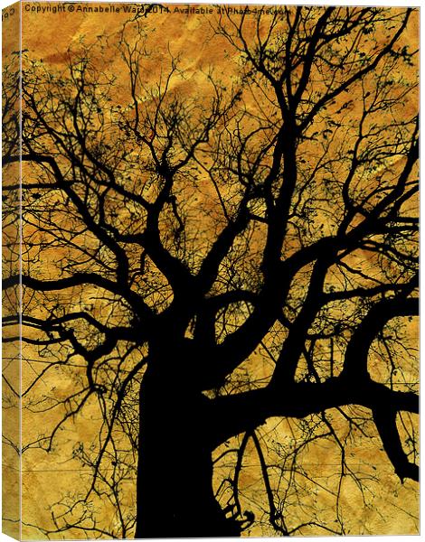Oak tree in yellow. Canvas Print by Annabelle Ward