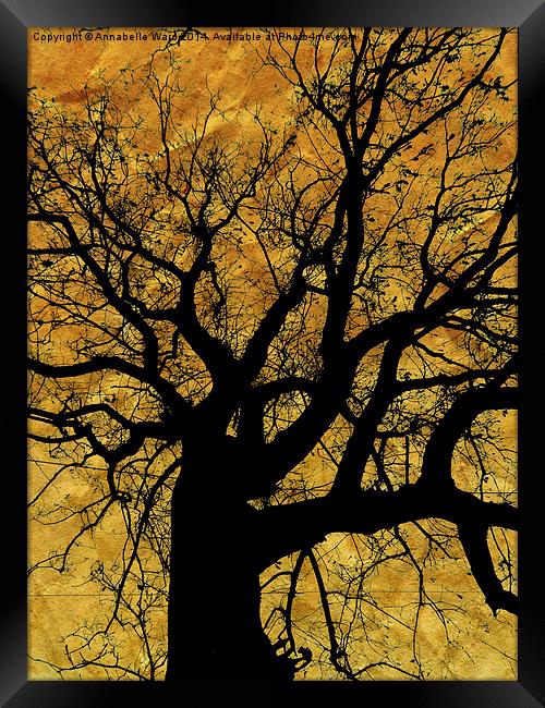 Oak tree in yellow. Framed Print by Annabelle Ward