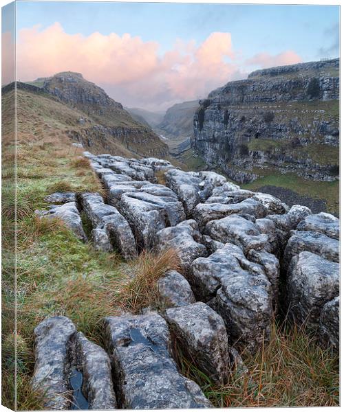 Malhamdale Canvas Print by Andy Redhead
