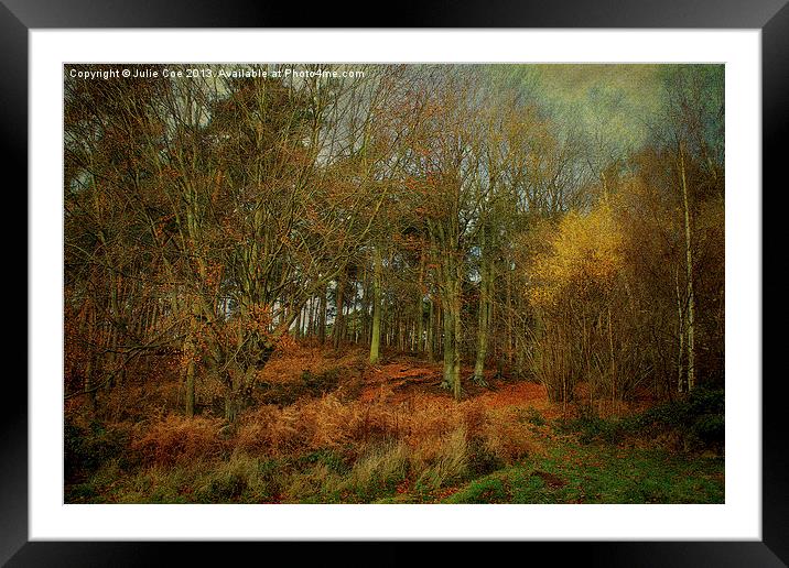 Woodland Colours Framed Mounted Print by Julie Coe