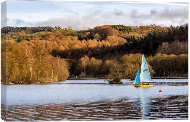 Etherow Country Park, Compstall Canvas Print by Andy McGarry