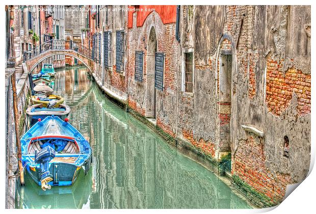 Venice Backwater Print by David Birchall