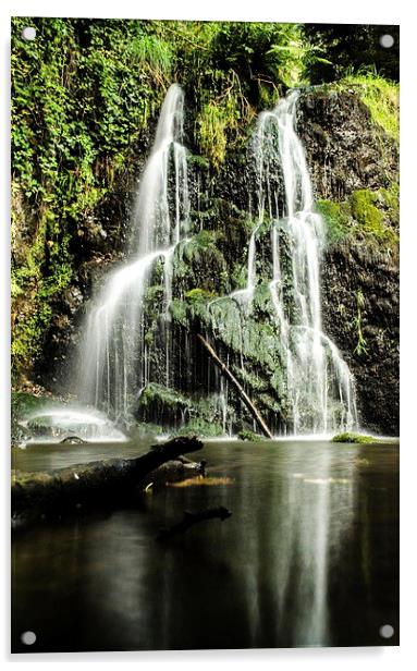 Fairy Glen Waterfall. Acrylic by Alan Cruickshank
