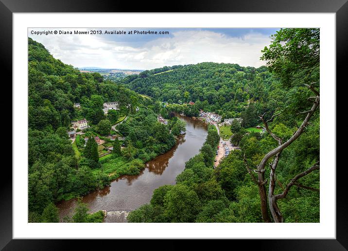 Symonds Yat Wye Valley Framed Mounted Print by Diana Mower