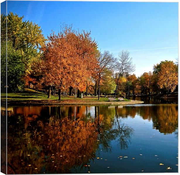 Reflection in the Park Canvas Print by Michael Wood