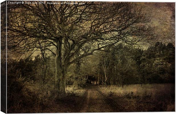 Darkened Woods Canvas Print by Julie Coe