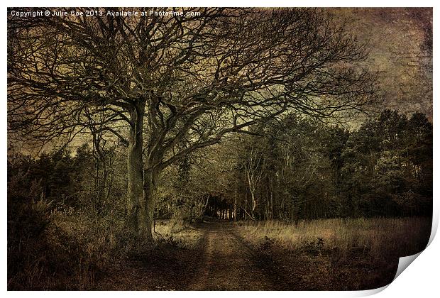 Darkened Woods Print by Julie Coe