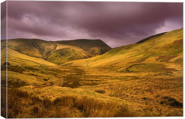 Moorland Views Canvas Print by David Hare