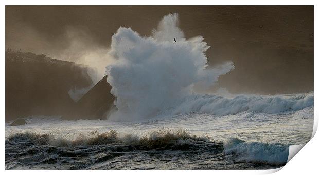 Clogher beach Print by barbara walsh