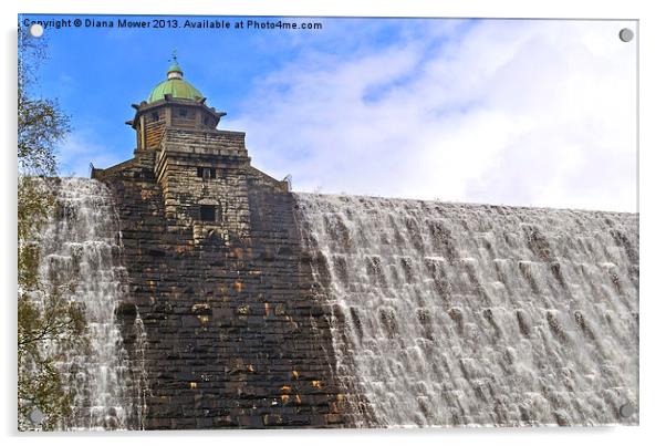 Penygarreg Dam Wales Acrylic by Diana Mower
