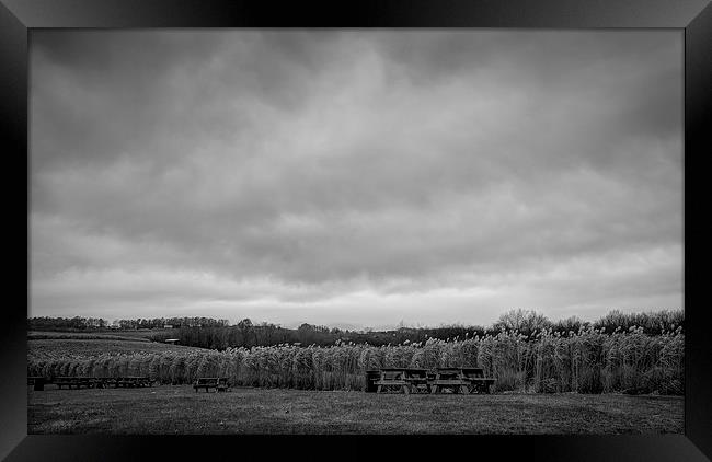 harvest season Framed Print by Lou Divers