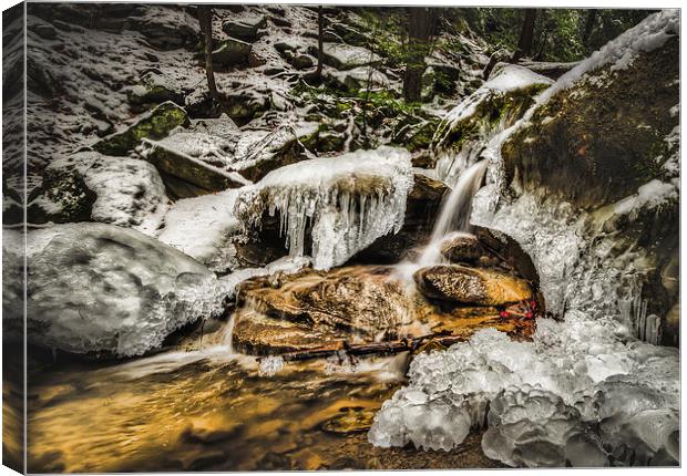 Flowing Through The Freeze Canvas Print by Lou Divers