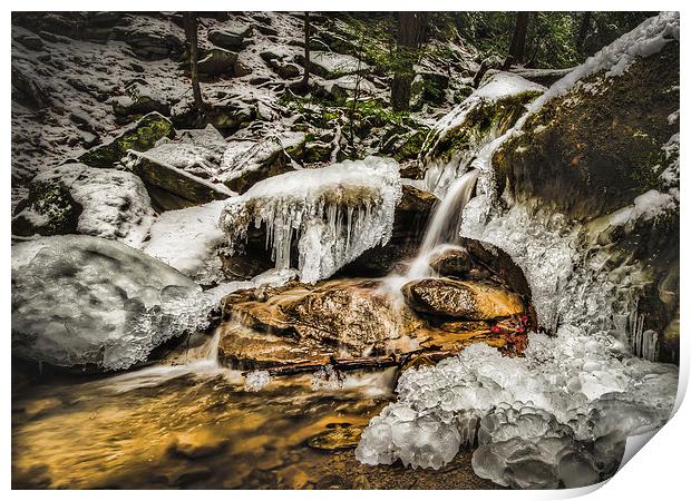 Flowing Through The Freeze Print by Lou Divers