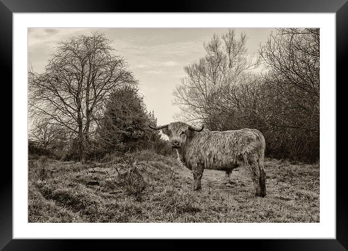 Standing on my own Framed Mounted Print by Mark Bunning