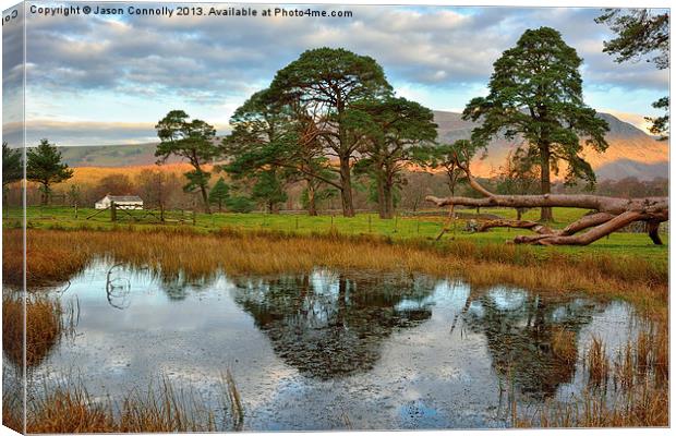 Flass Tarn, Nether Wasdale Canvas Print by Jason Connolly