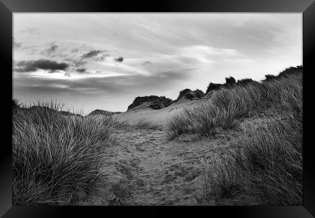 Windswept Dunes Framed Print by Lucy Pinkstone