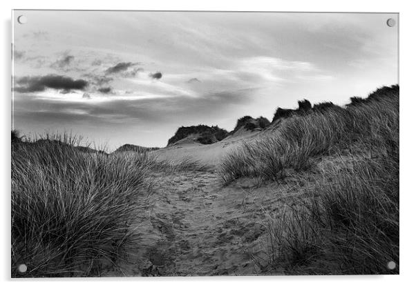 Windswept Dunes Acrylic by Lucy Pinkstone