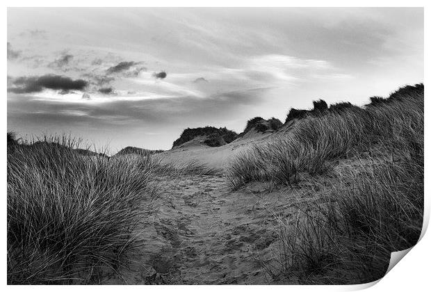 Windswept Dunes Print by Lucy Pinkstone
