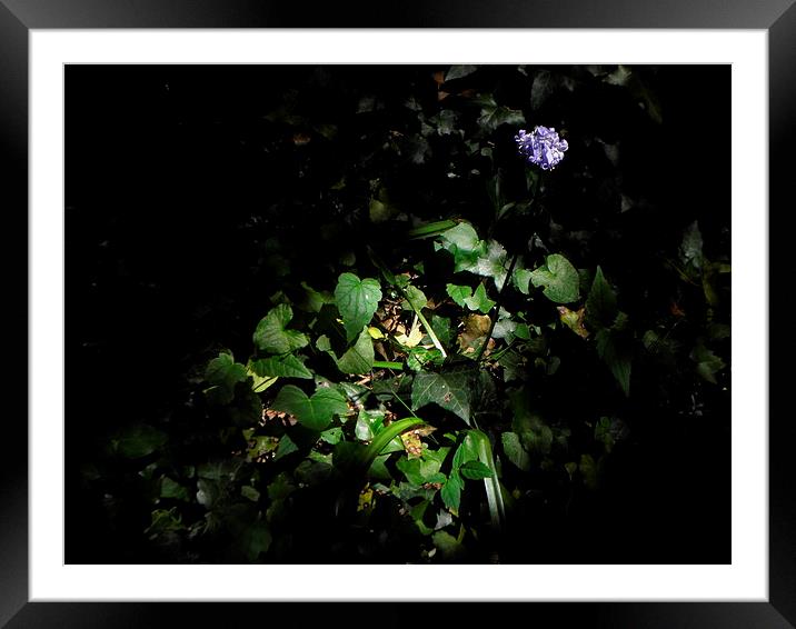 In The Spotlight Framed Mounted Print by Ralph Jackson