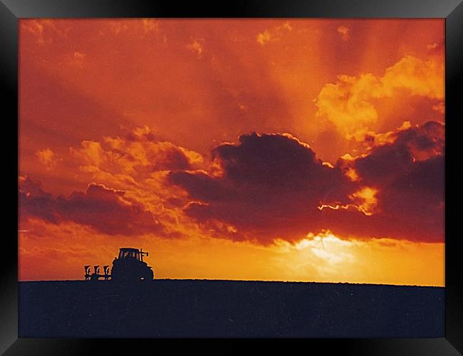 Sunset Ploughing in Caradon Framed Print by Roger Upton