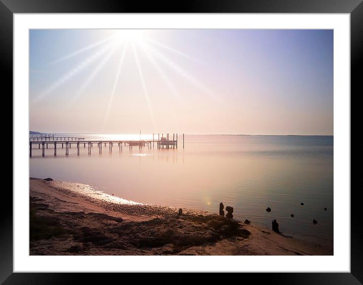 Morning Radiance Framed Mounted Print by Judy Hall-Folde