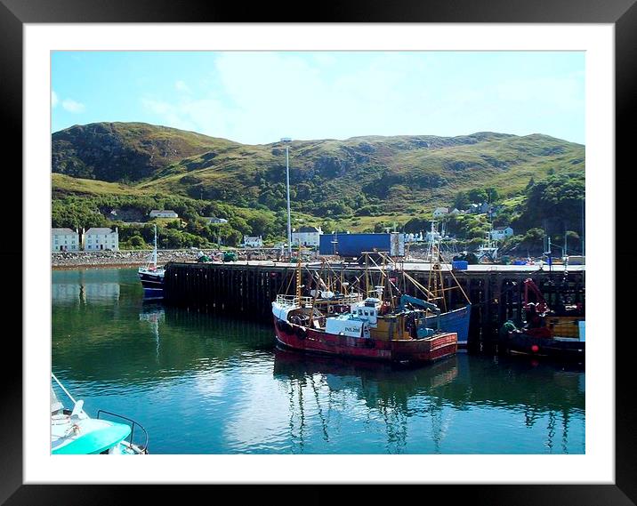 Fishing Boats in Mallaig Harbour Framed Mounted Print by Bill Lighterness