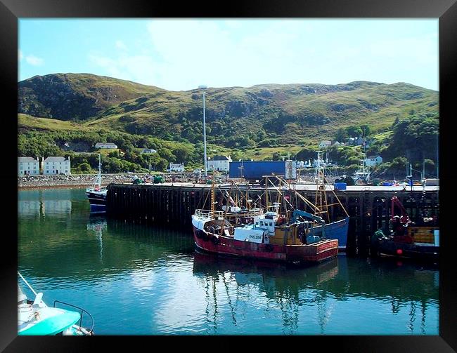 Fishing Boats in Mallaig Harbour Framed Print by Bill Lighterness