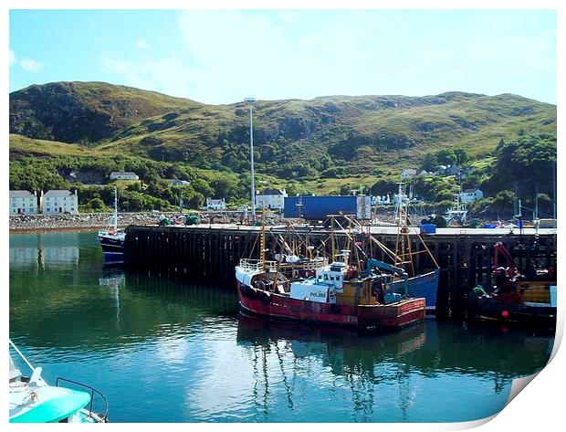 Fishing Boats in Mallaig Harbour Print by Bill Lighterness